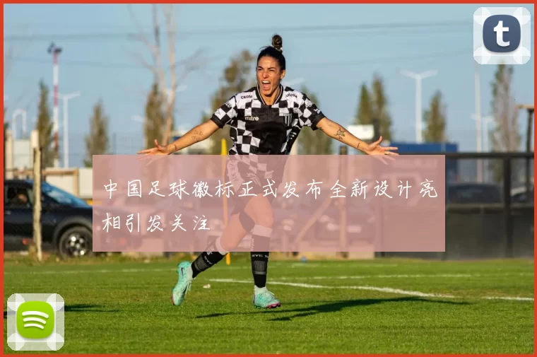 中国足球徽标正式发布全新设计亮相引发关注